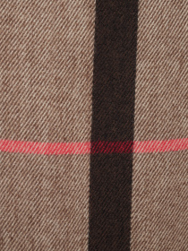 Шарф Regina Notte модель 4000000157436 Фото