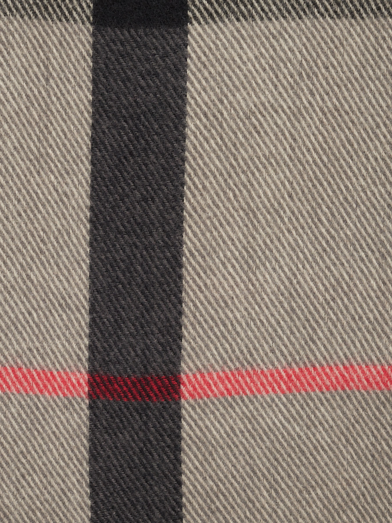 Шарф Regina Notte модель 4000000066741 Фото