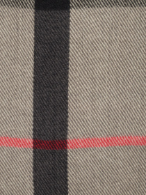 Шарф Regina Notte модель 4000000066741 Фото