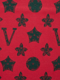 Шарф Regina Notte модель 4000000093406 Фото