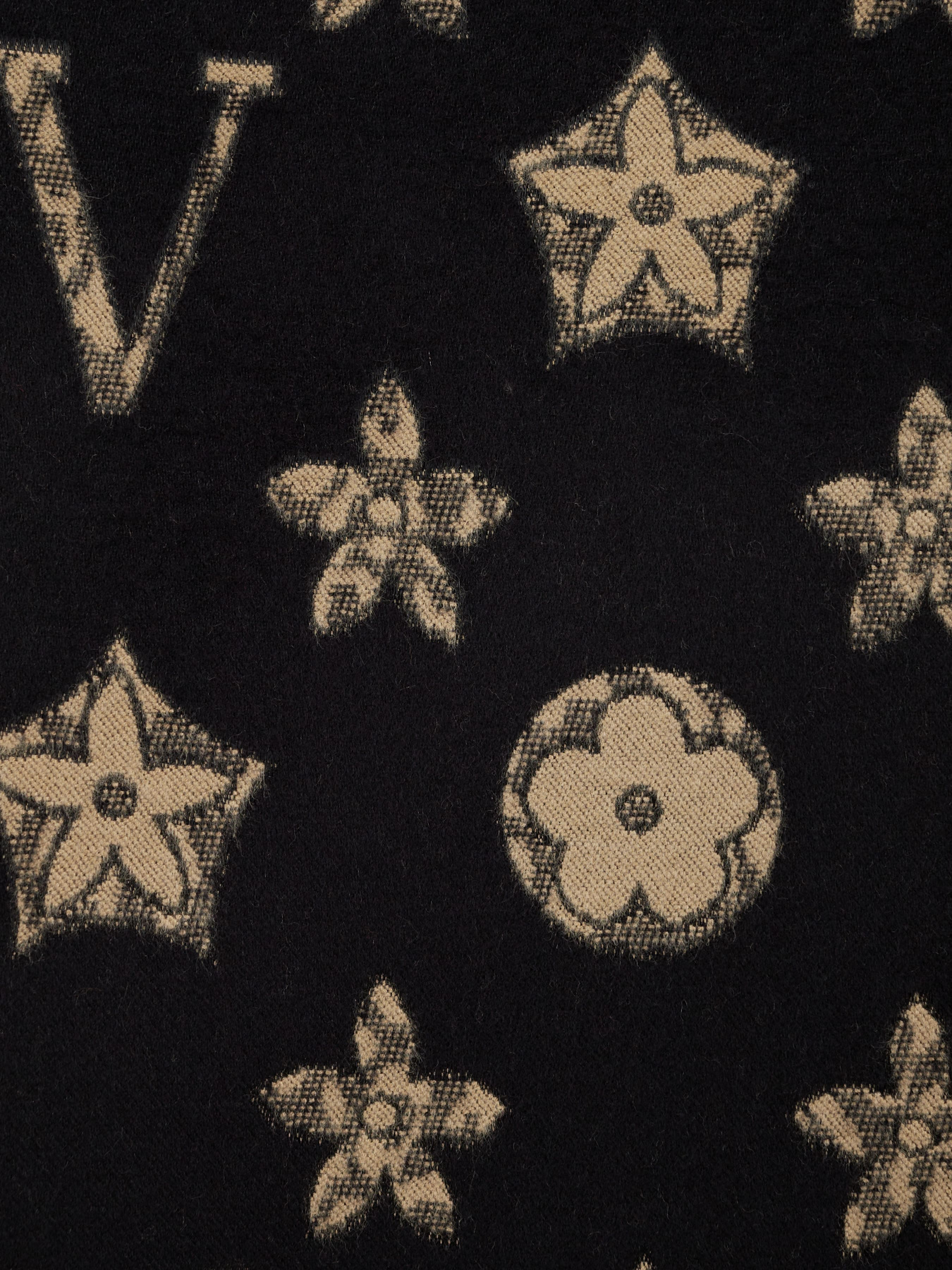 Шарф Regina Notte модель 4000000093888 Фото