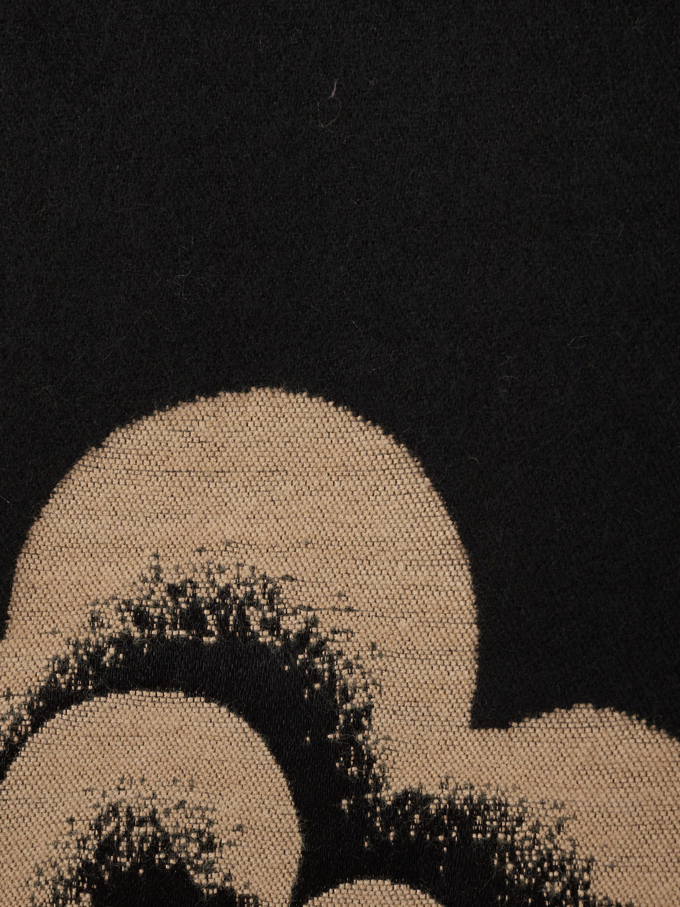 Шарф Regina Notte модель 4000000049546 Фото