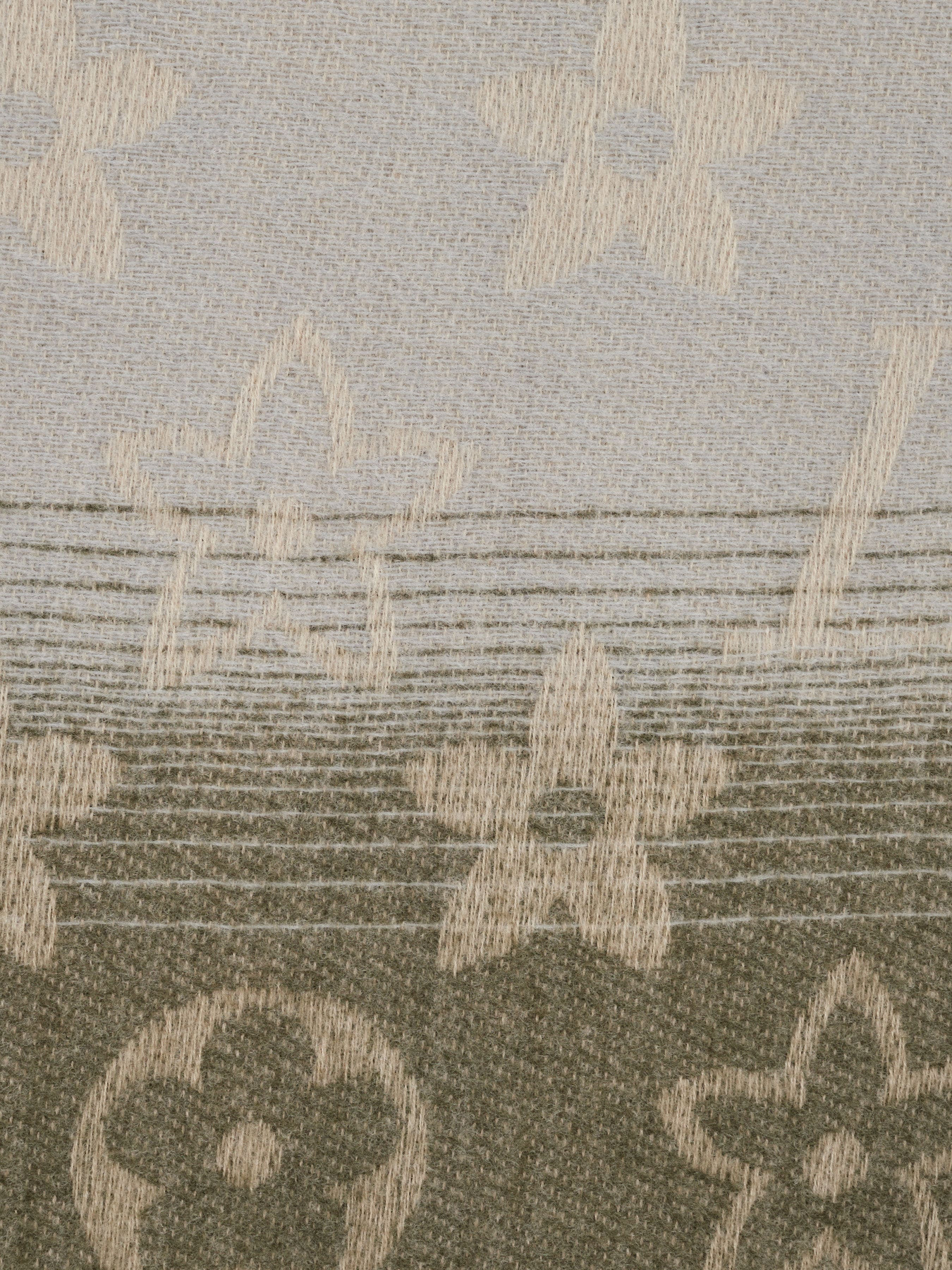 Шарф Regina Notte модель 4000000075884 Фото