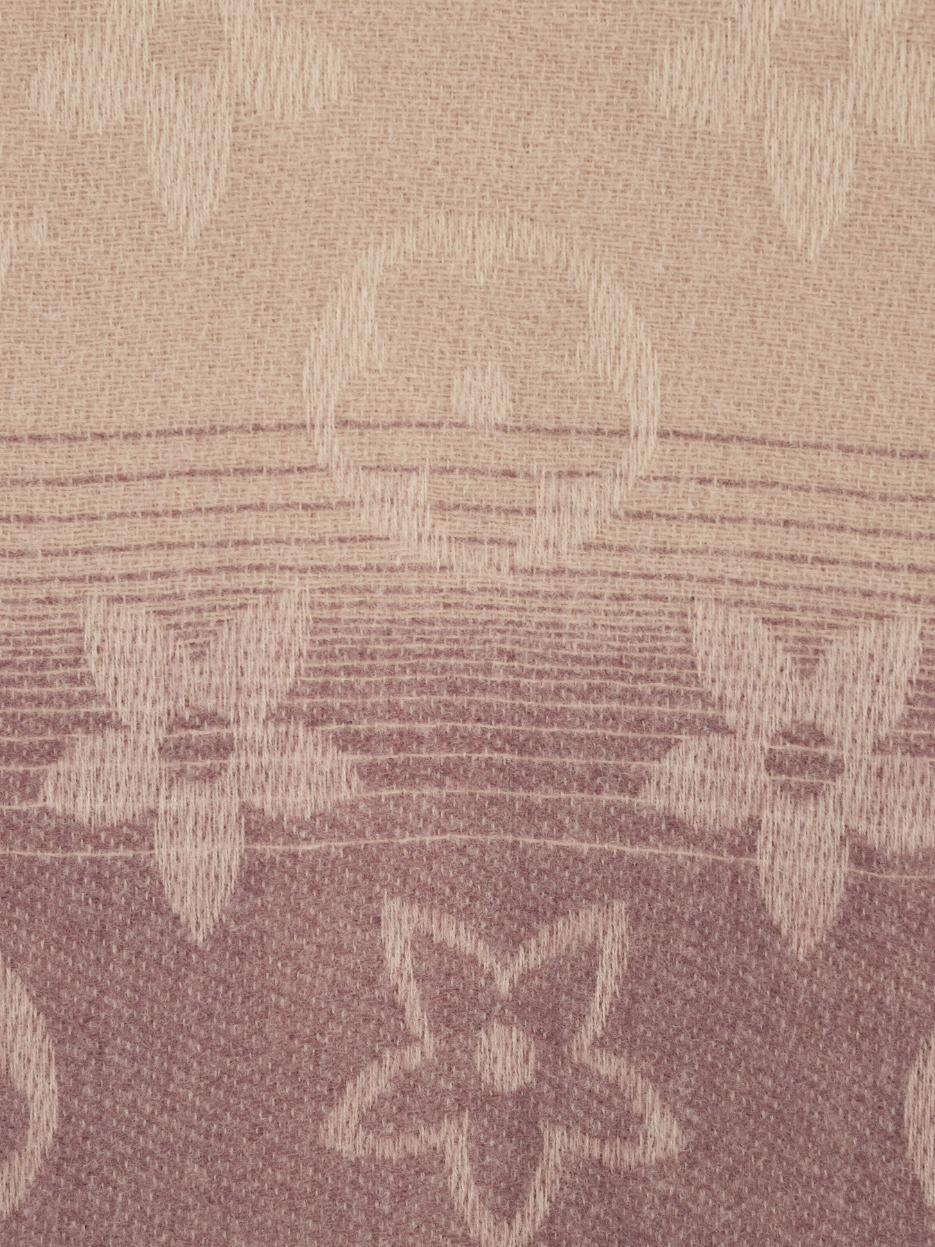 Шарф Regina Notte модель 4000000059037 Фото