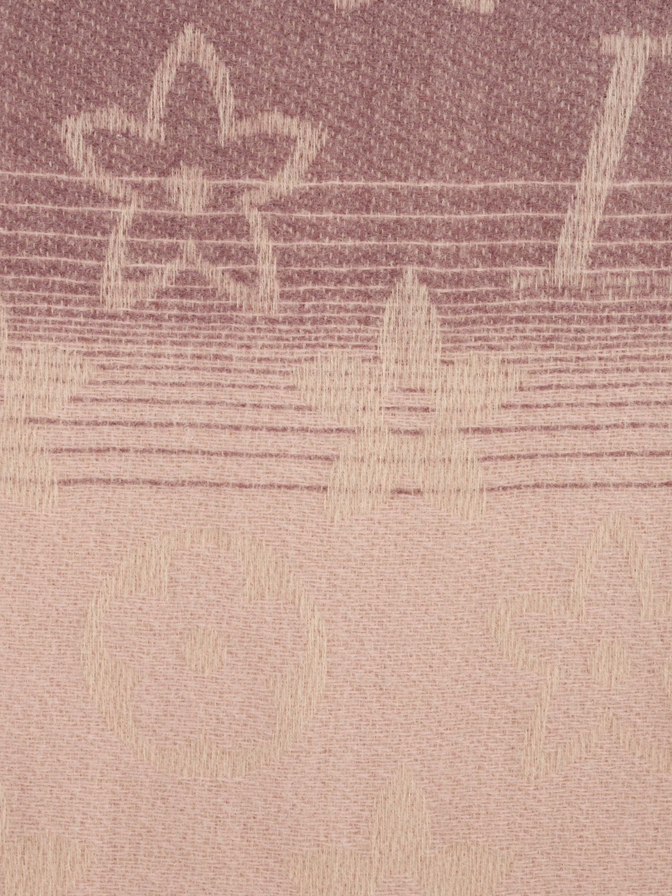 Шарф Regina Notte модель 4000000063775 Фото