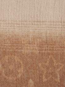 Шарф Regina Notte модель 4000000135601 Фото