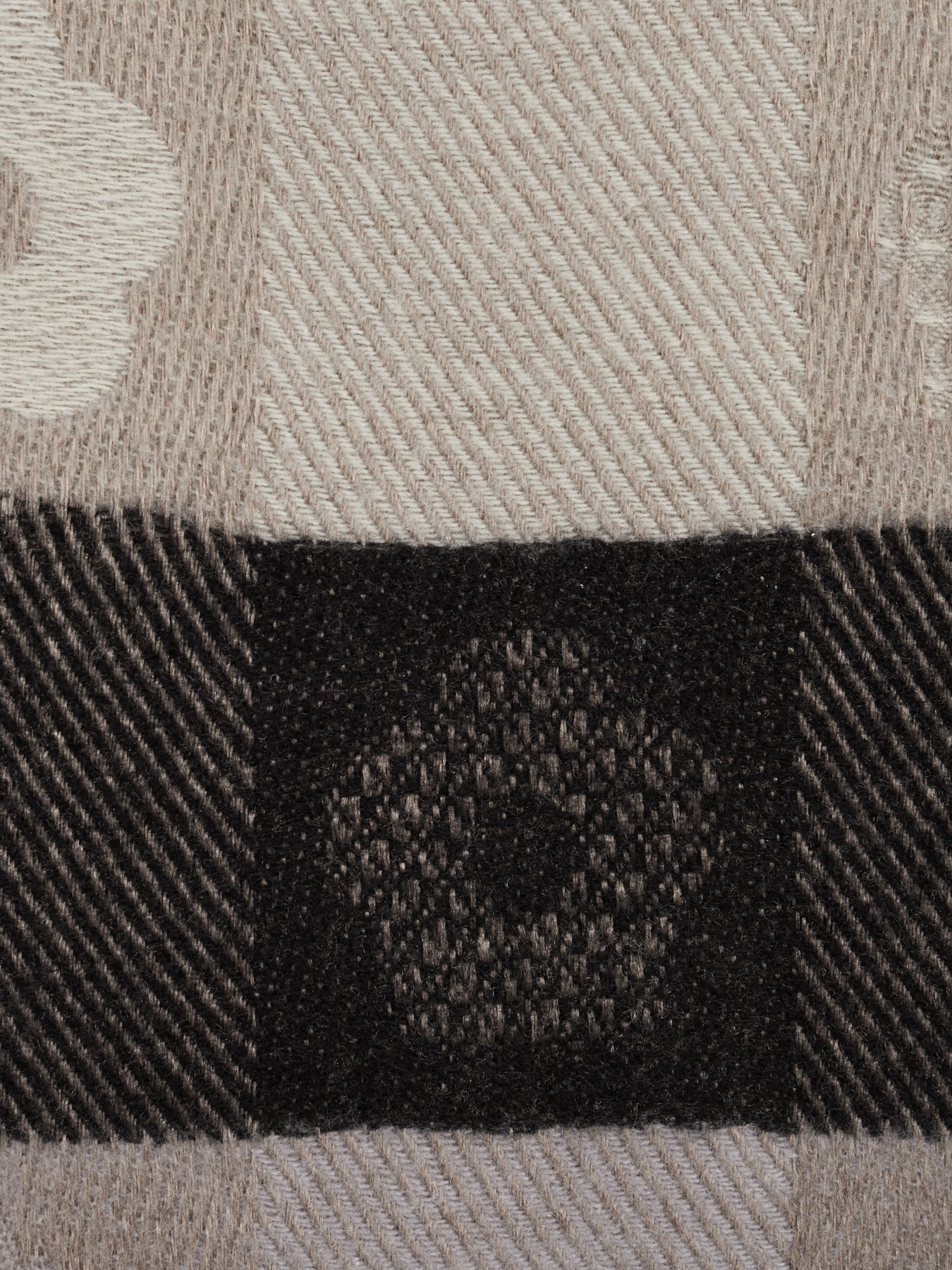 Шарф Regina Notte модель 4000000167077 Фото