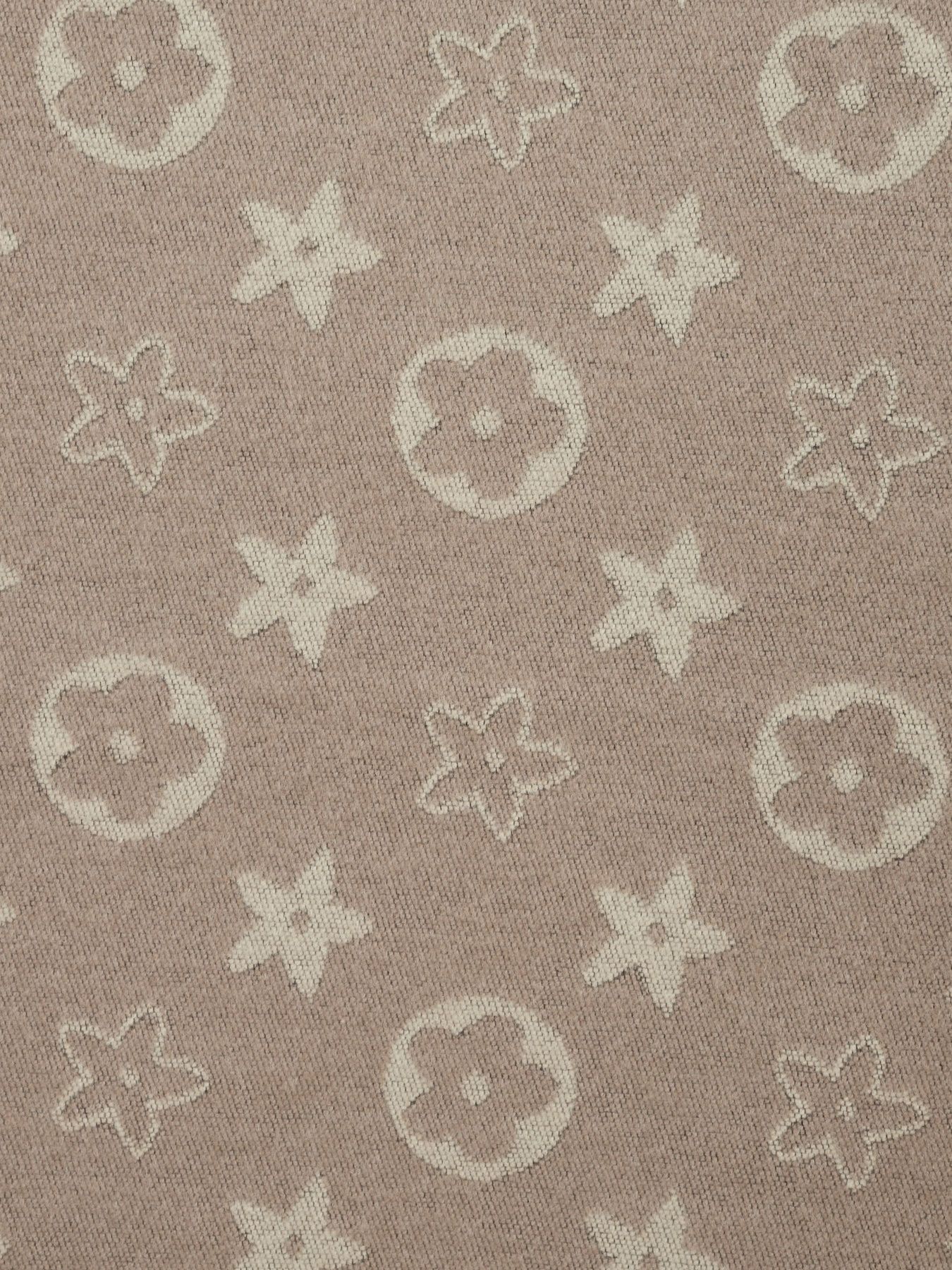 Шарф Regina Notte модель 4000000091730 Фото