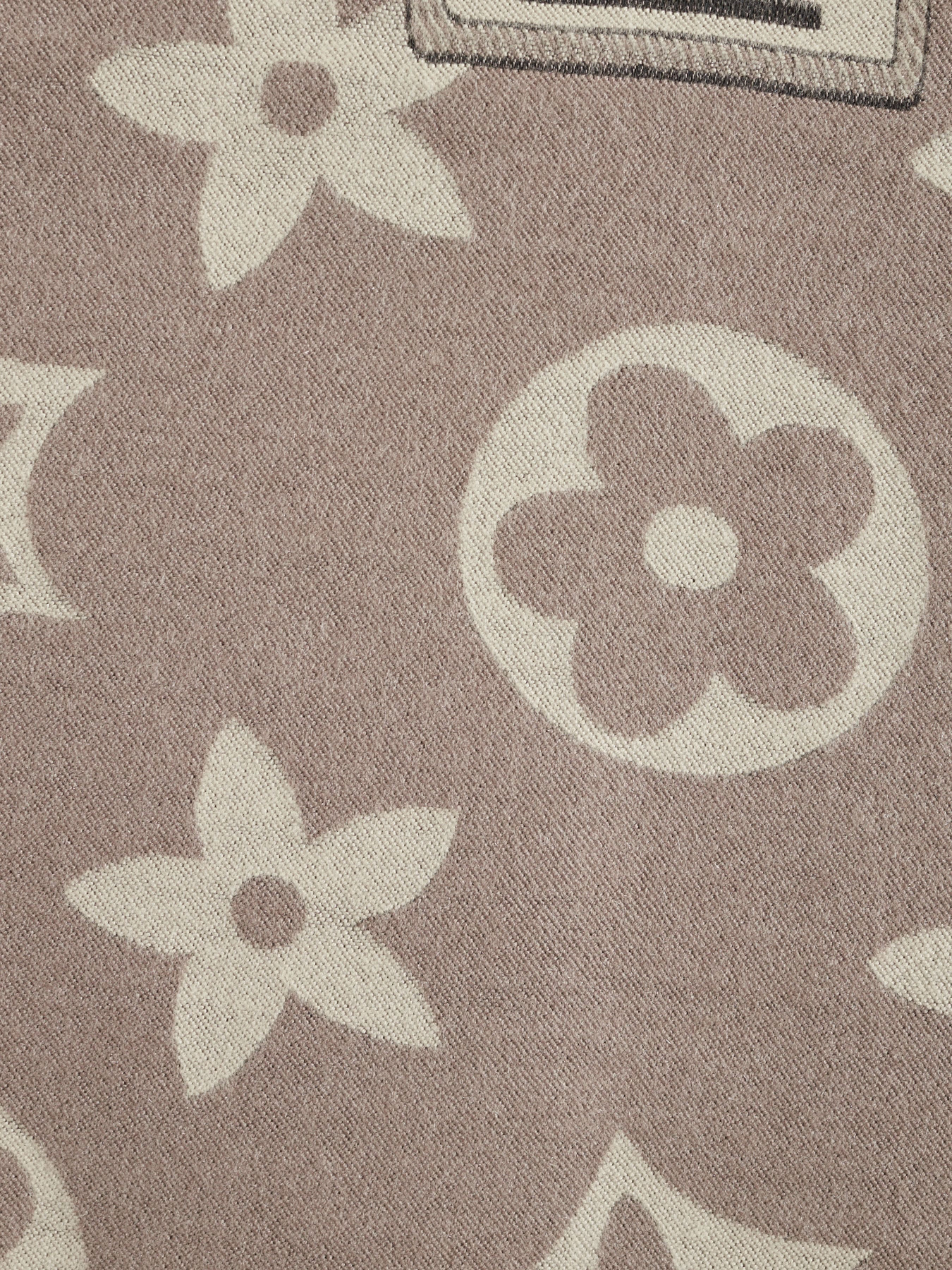 Шарф Regina Notte модель 4000000095189 Фото