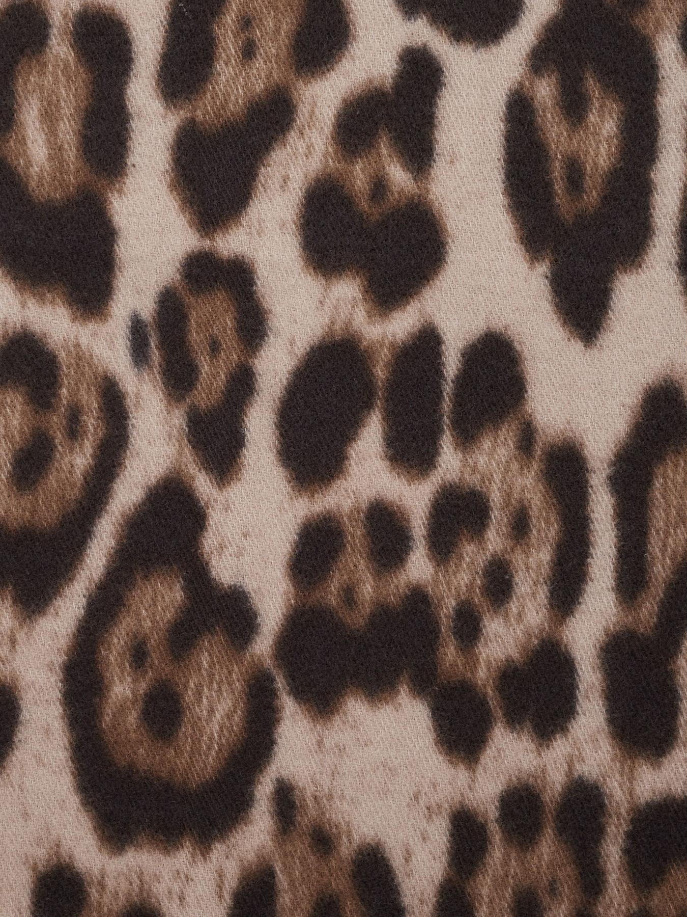 Шарф Regina Notte модель 4000000157764 Фото