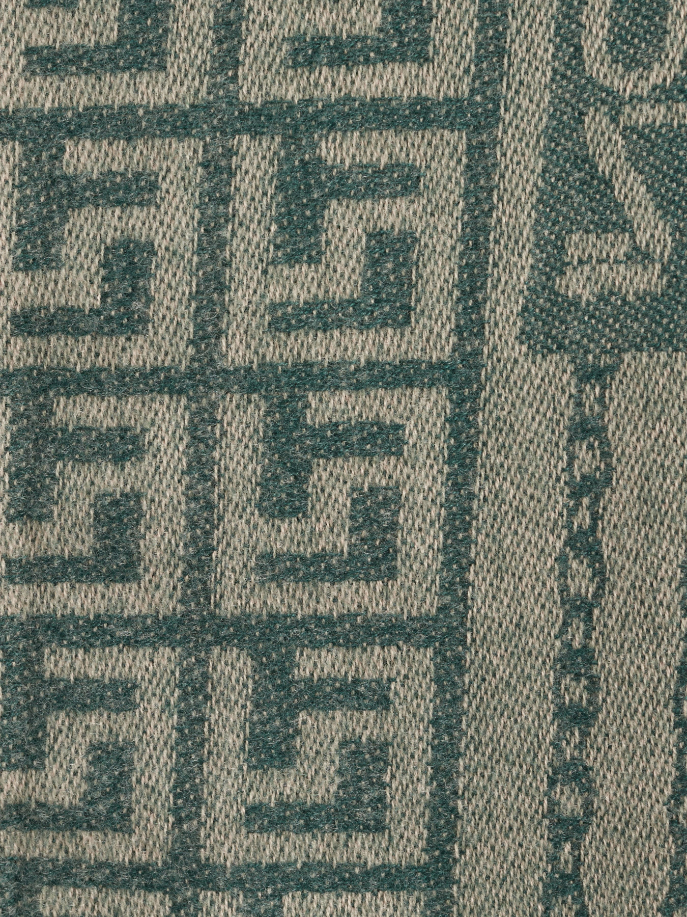 Шарф Regina Notte модель 4000000079509 Фото