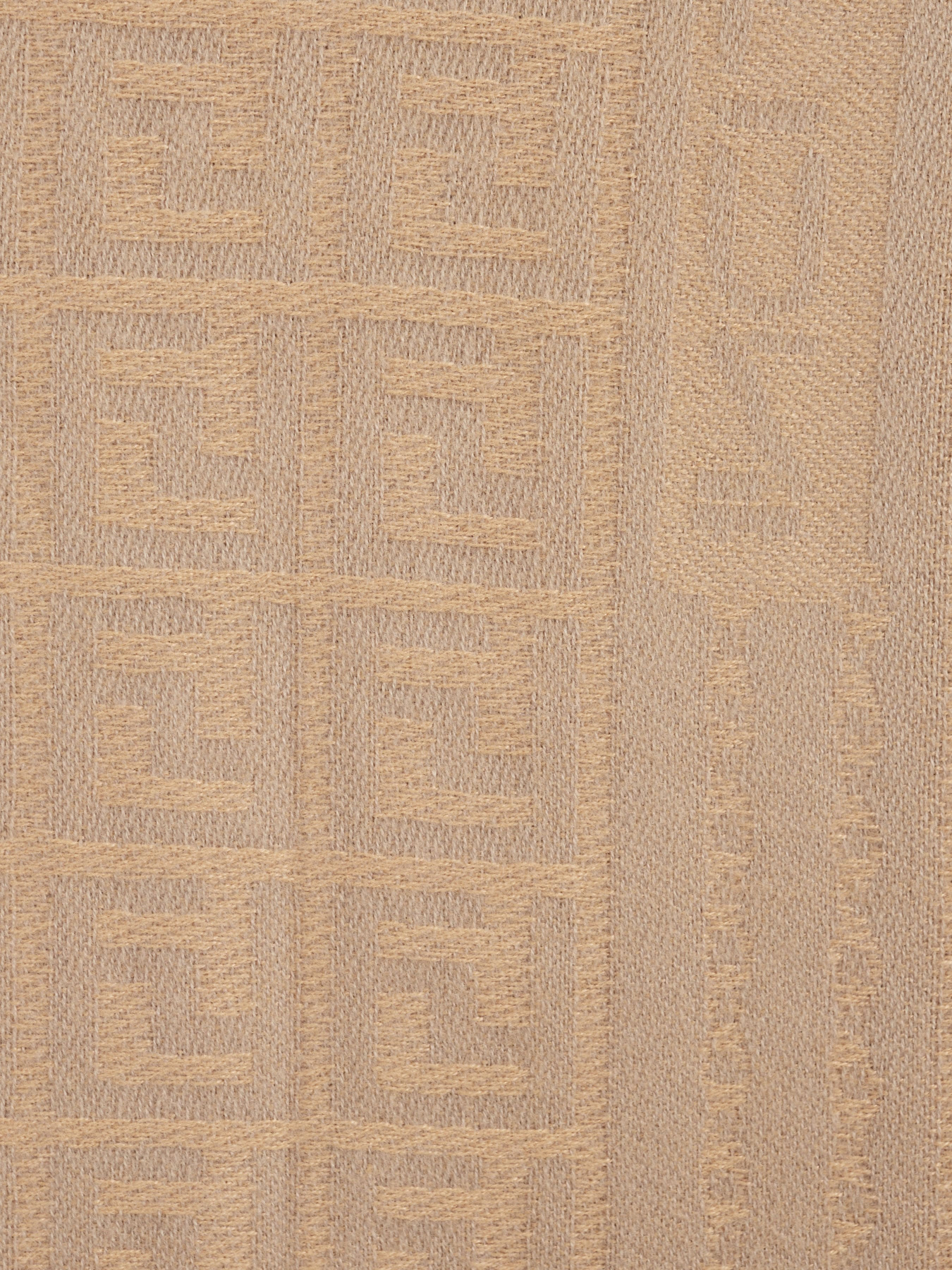 Шарф Regina Notte модель 4000000053639 Фото