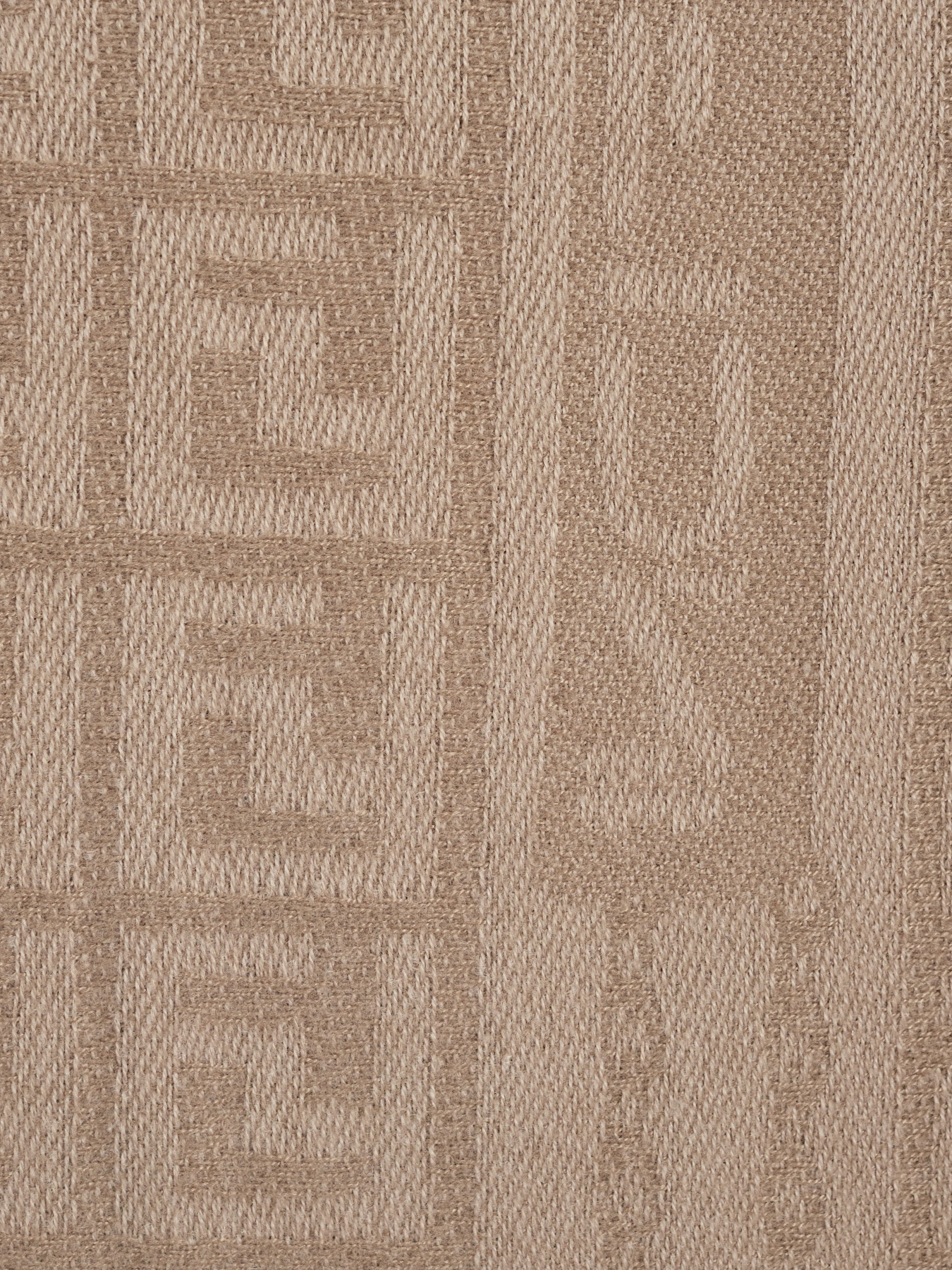 Шарф Regina Notte модель 4000000075459 Фото