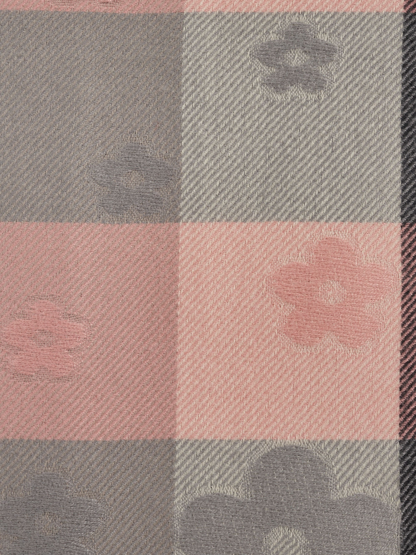 Шарф Regina Notte модель 4000000170657 Фото