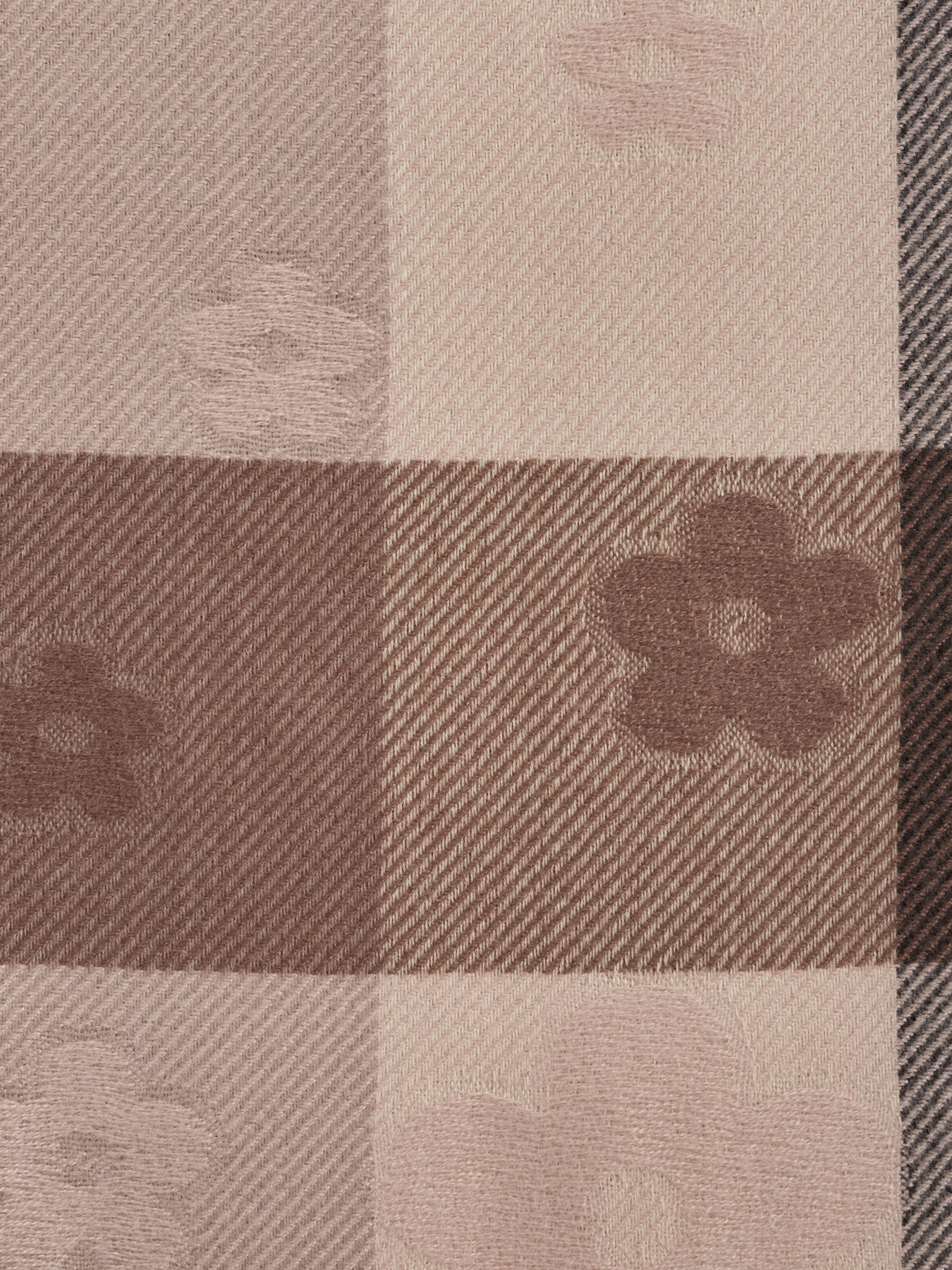 Шарф Regina Notte модель 4000000090441 Фото