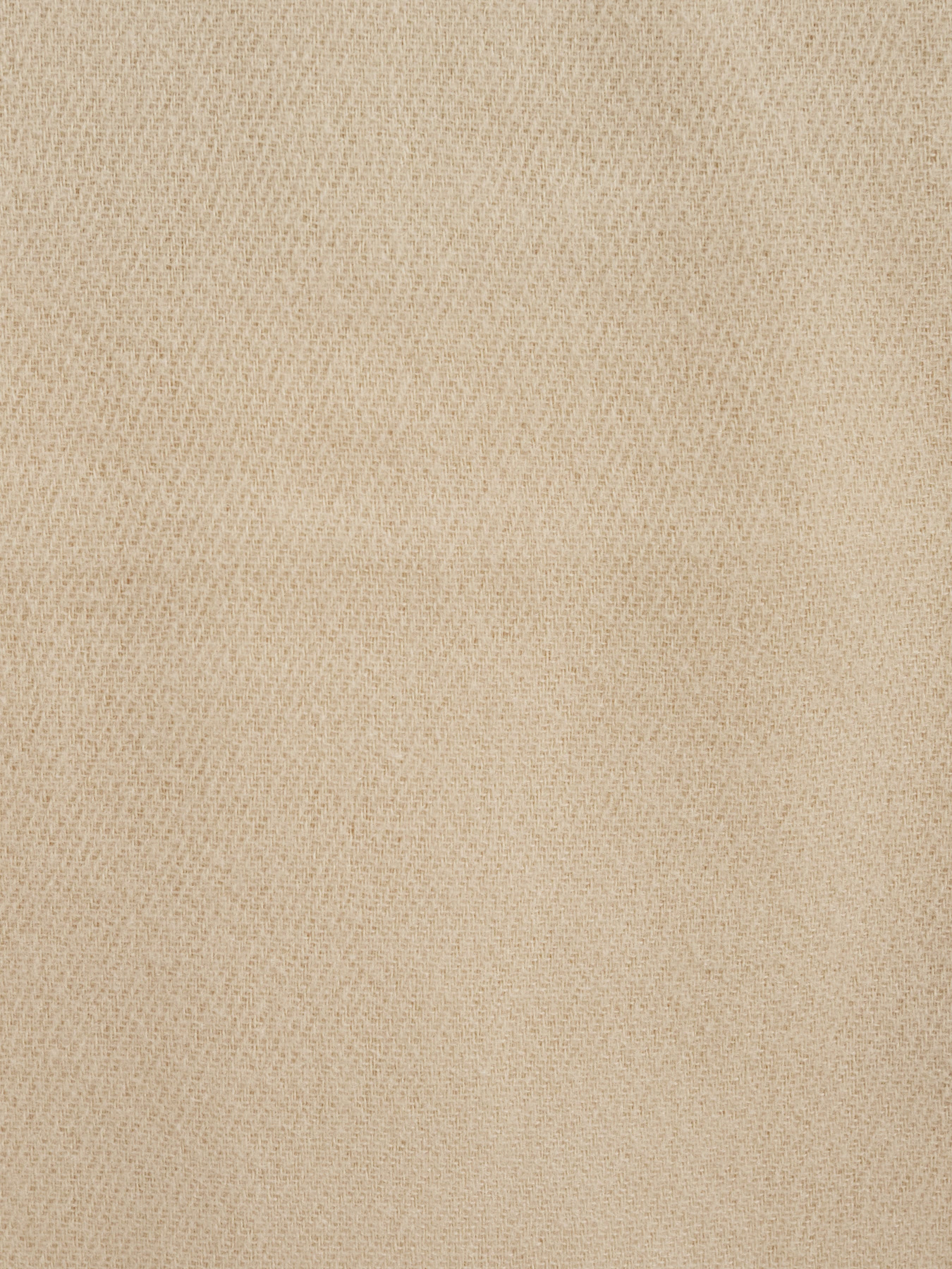 Шарф Regina Notte модель 4000000091480 Фото