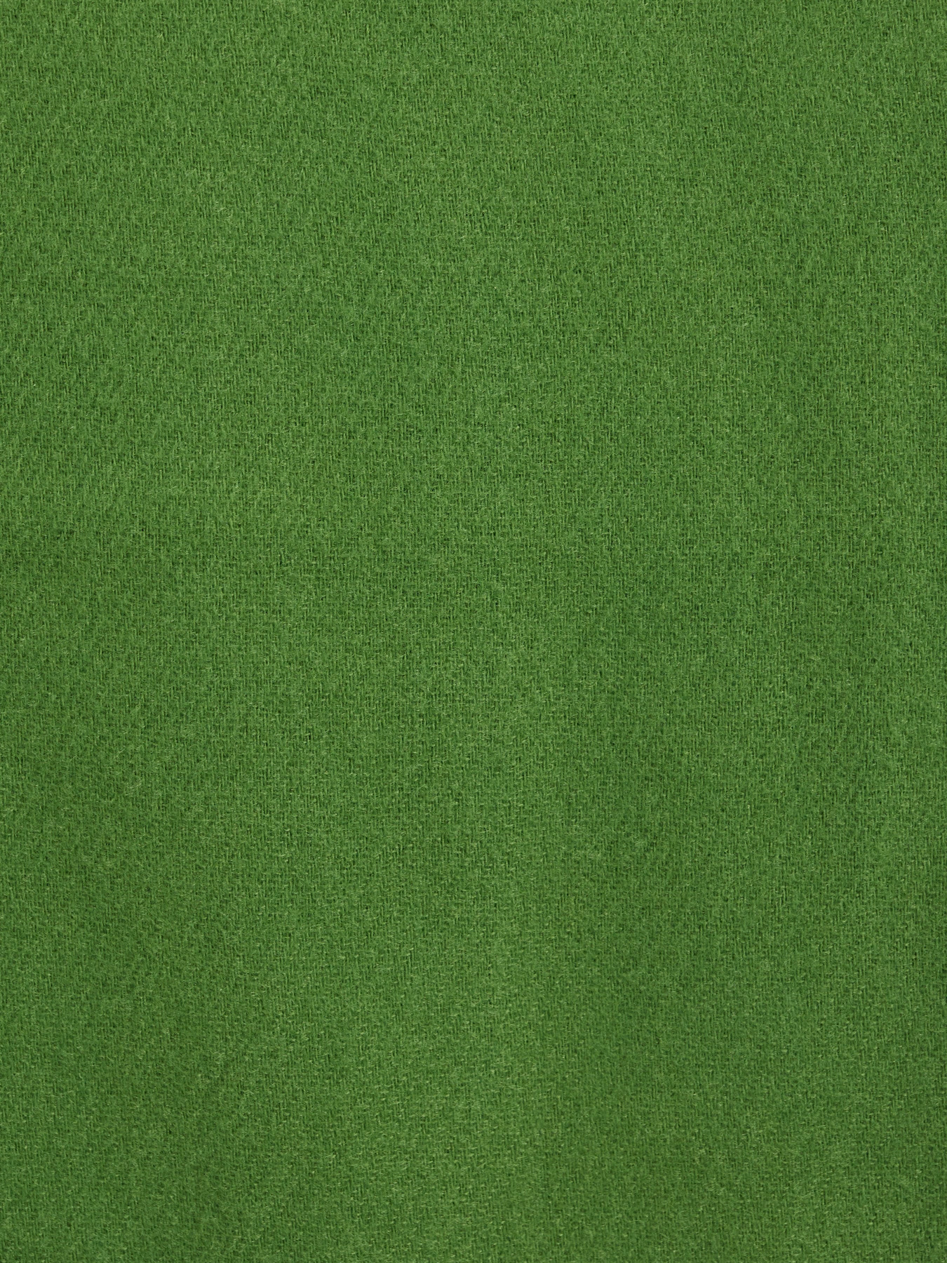 Шарф Regina Notte модель 4000000074986 Фото