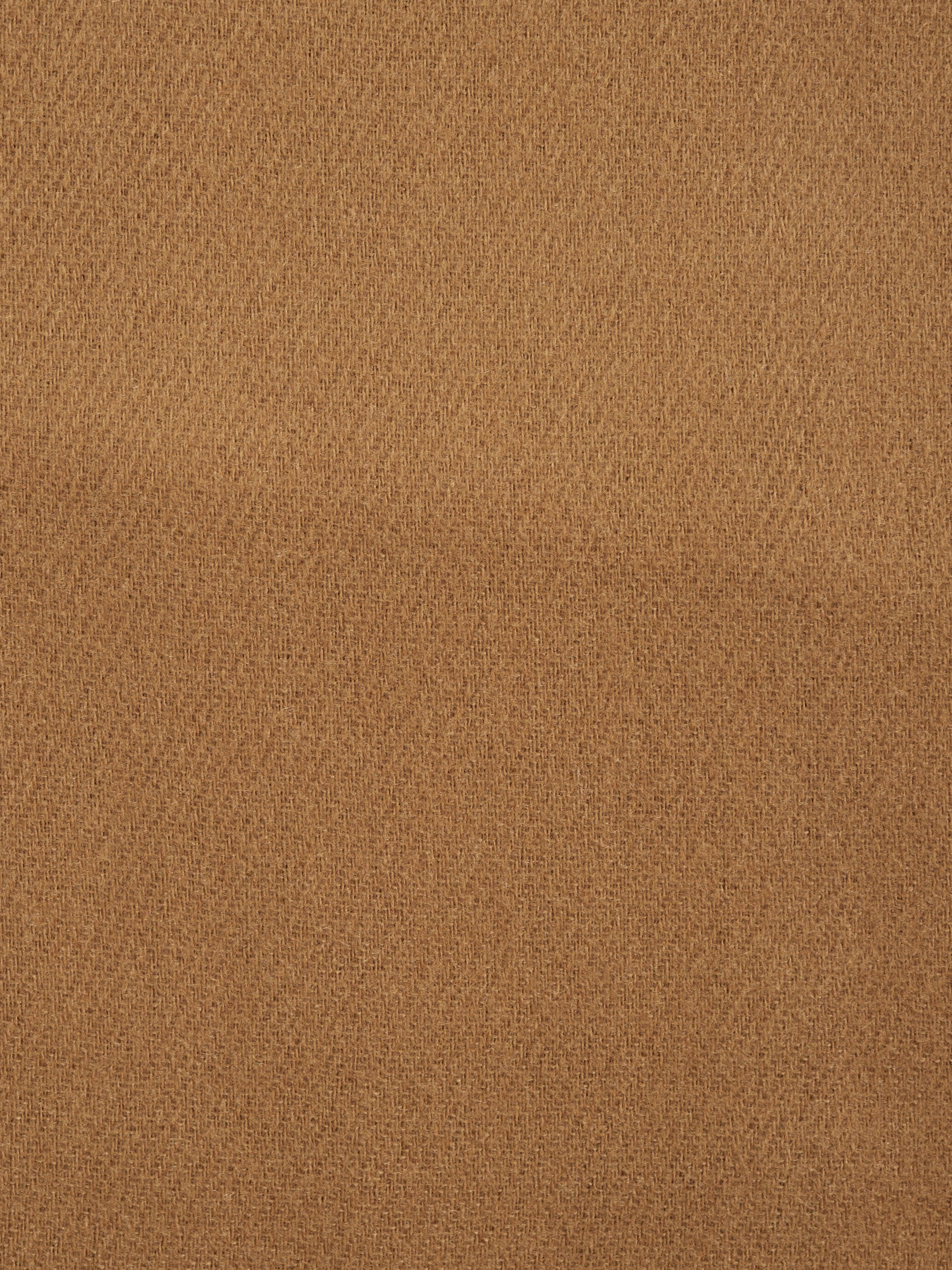 Шарф Regina Notte модель 4000000094445 Фото