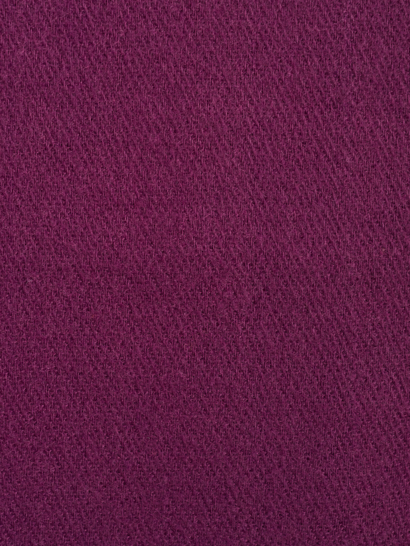 Шарф Regina Notte модель 4000000144643 Фото