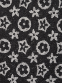 Шарф Regina Notte модель 4000000149976 Фото