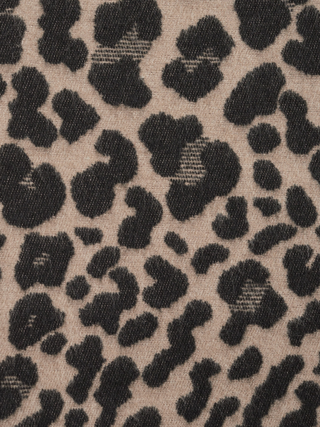 Шарф Regina Notte модель 4000000178059 Фото