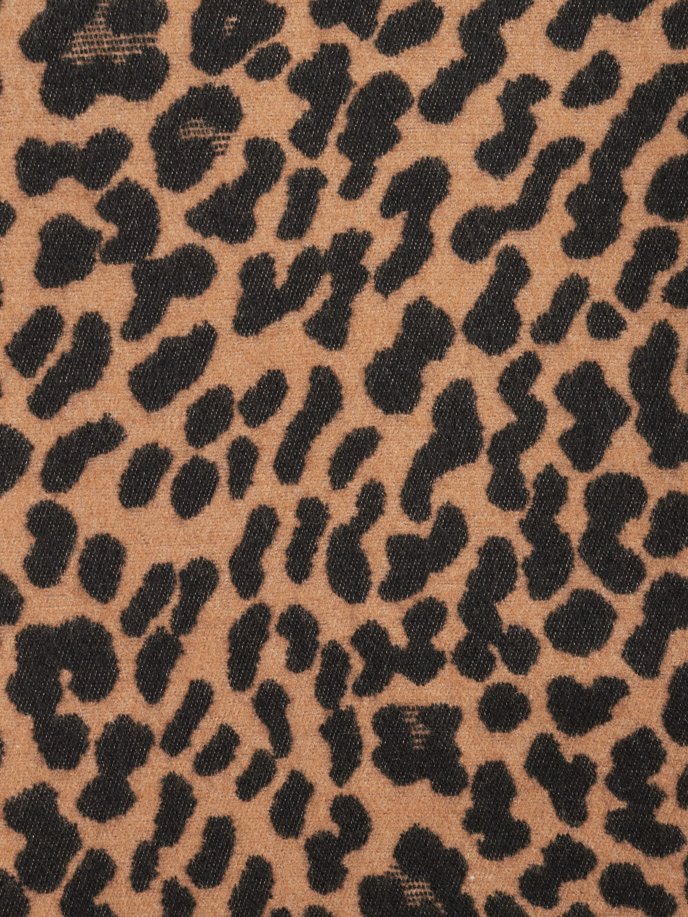 Шарф Regina Notte модель 4000000061414 Фото