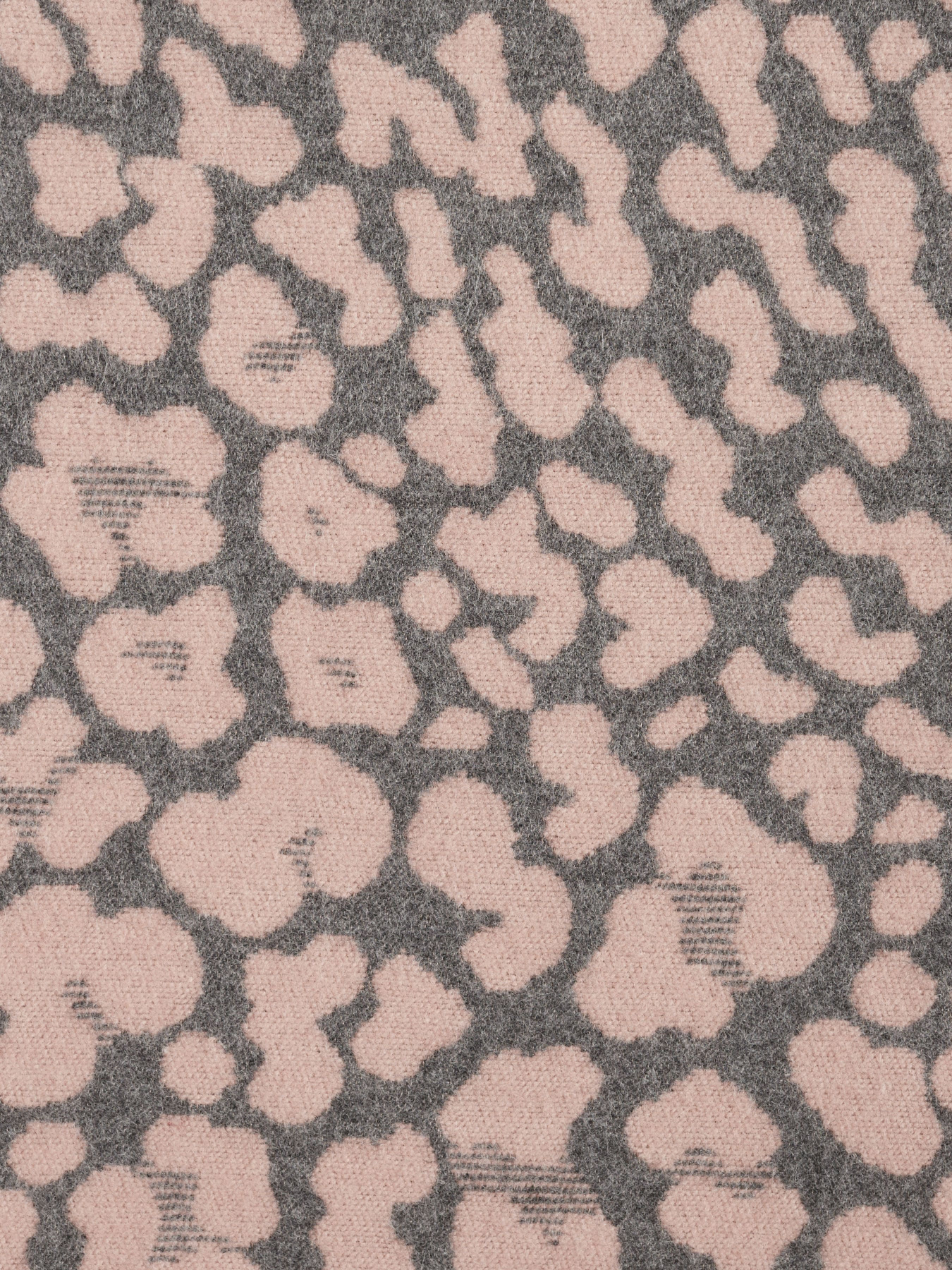 Шарф Regina Notte модель 4000000061511 Фото