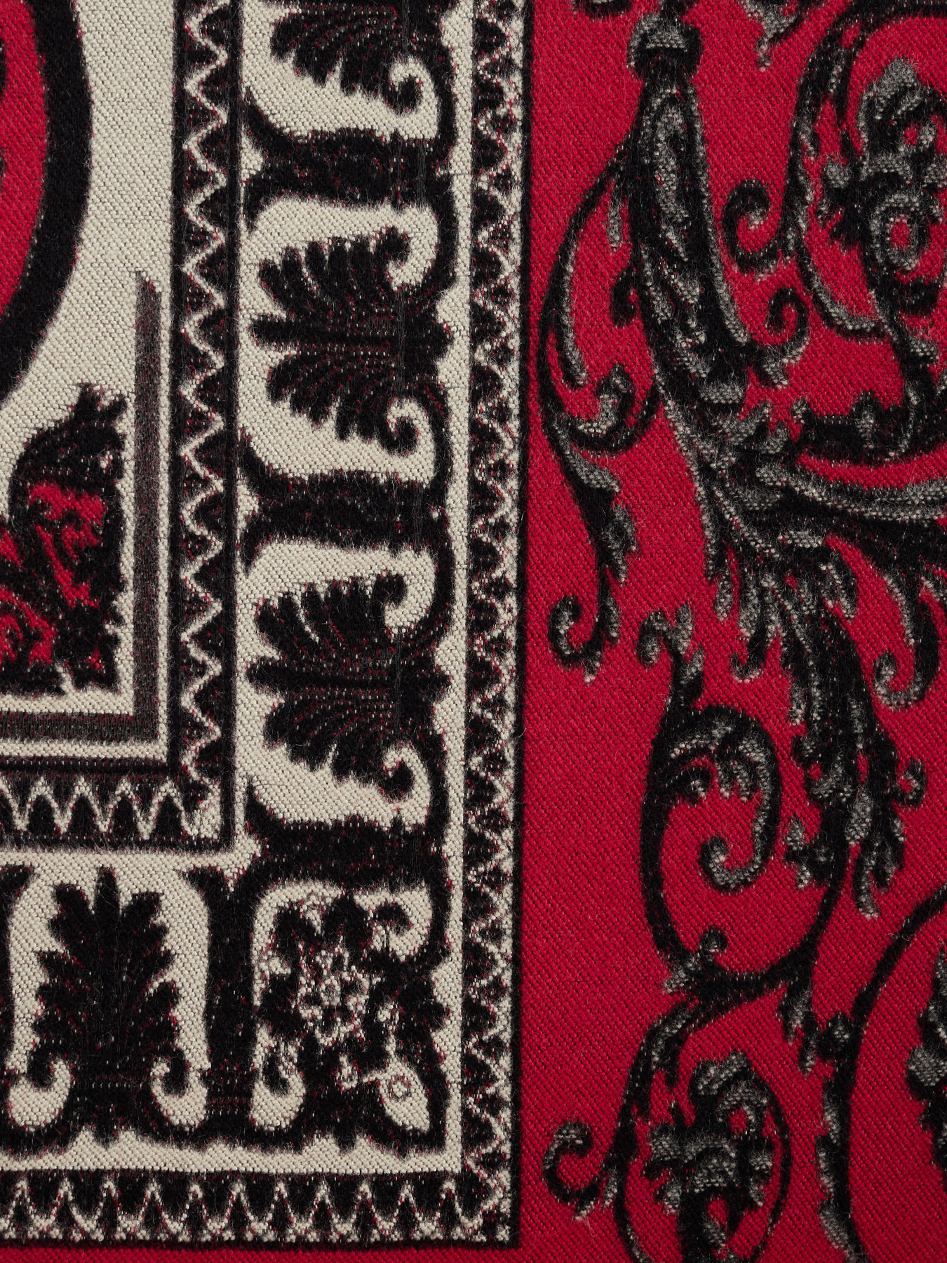 Шарф Regina Notte модель 4000000067797 Фото