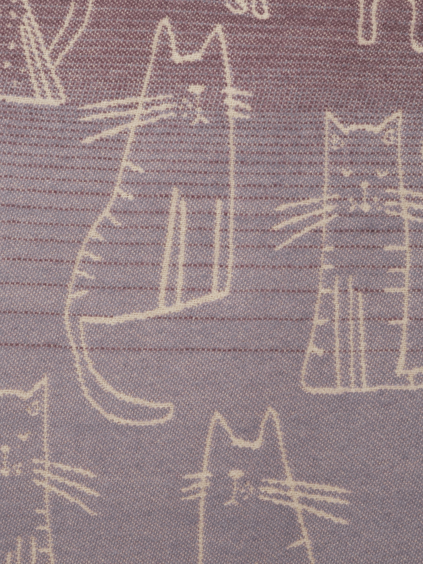 Шарф Regina Notte модель 4000000067315 Фото