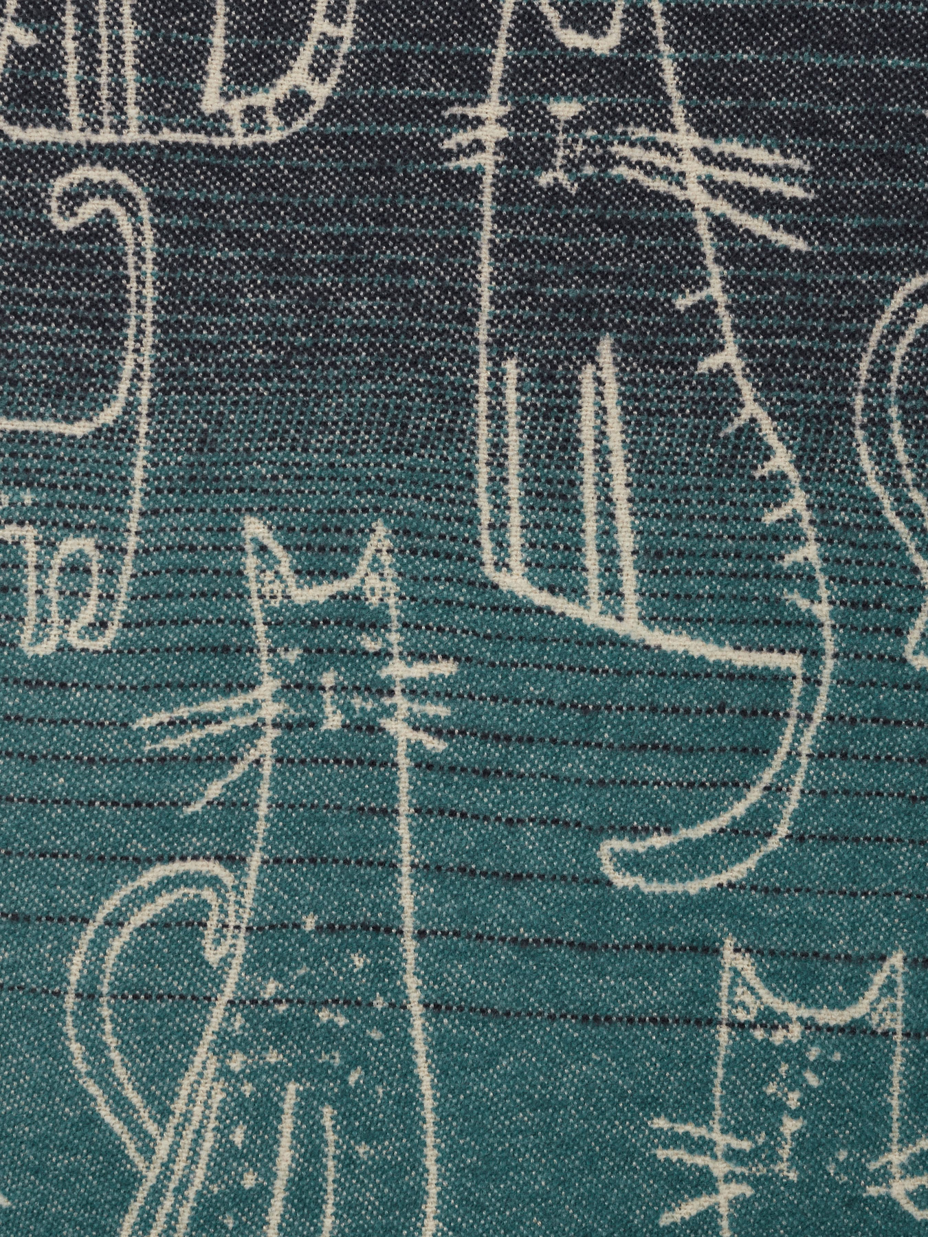 Шарф Regina Notte модель 4000000066905 Фото