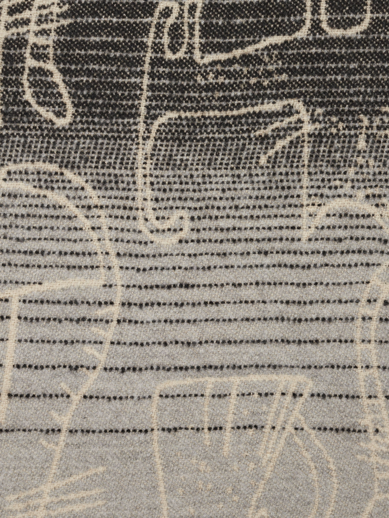 Шарф Regina Notte модель 4000000066660 Фото