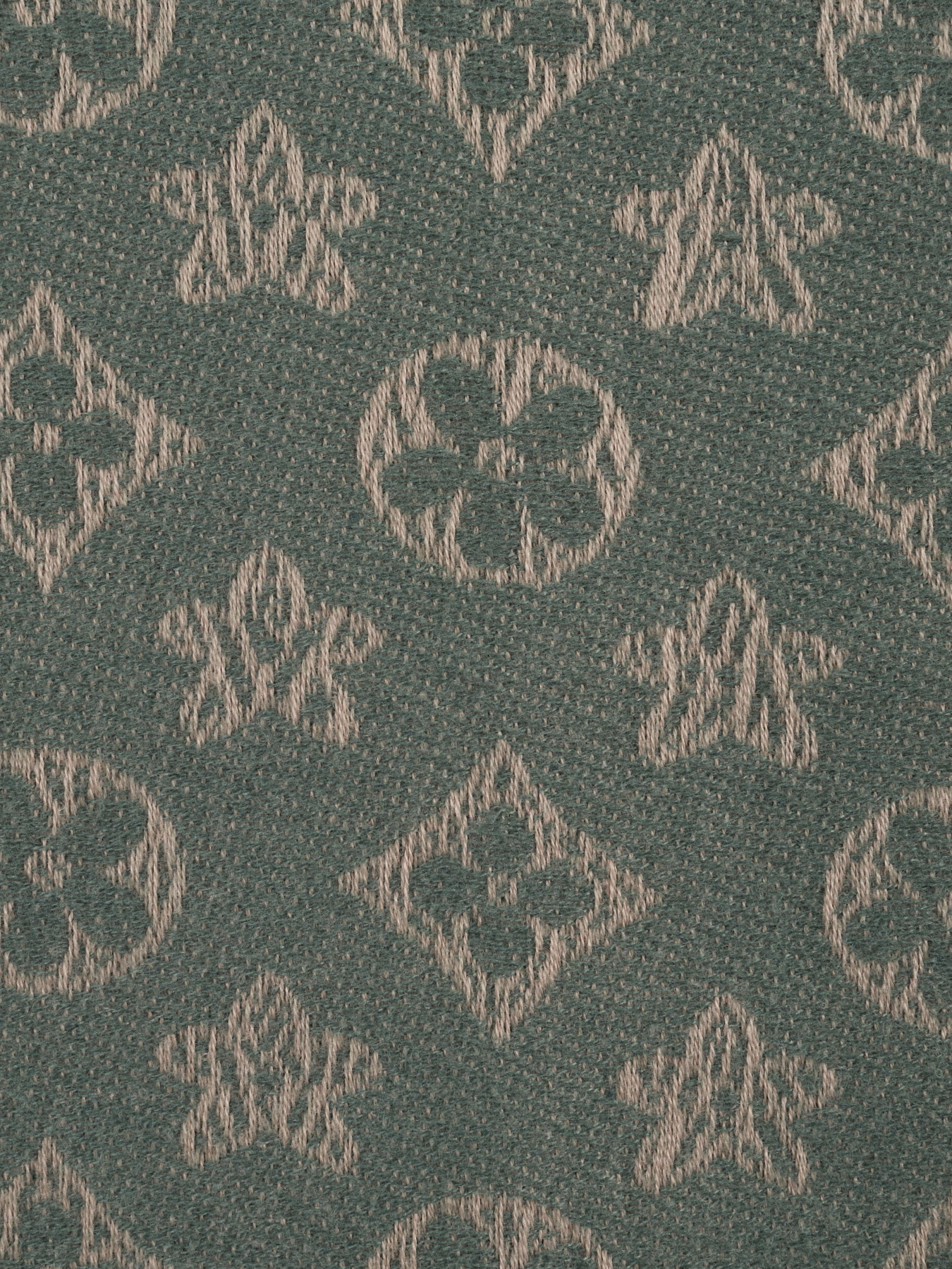 Шарф Regina Notte модель 4000000100807 Фото