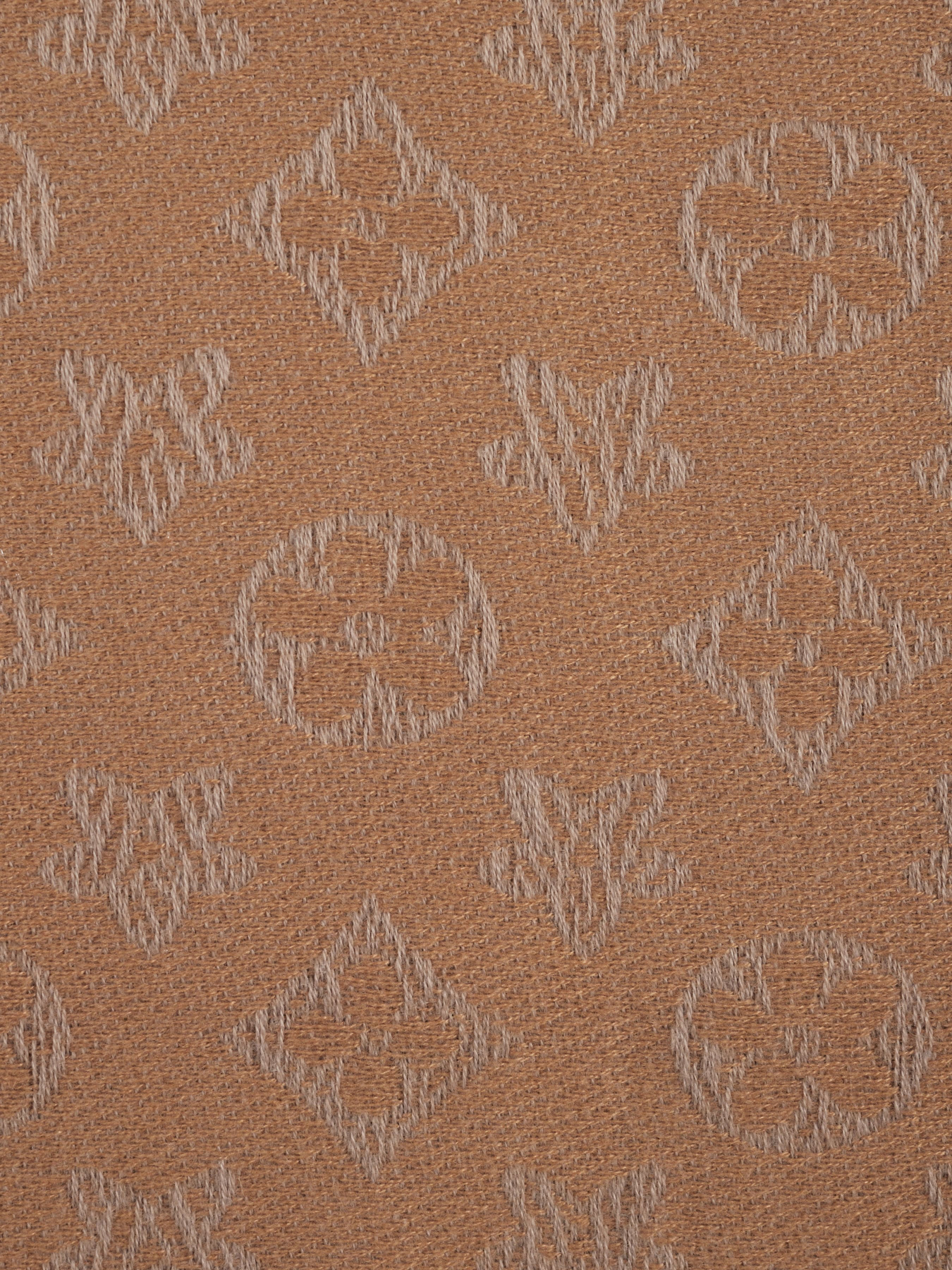 Шарф Regina Notte модель 4000000091518 Фото