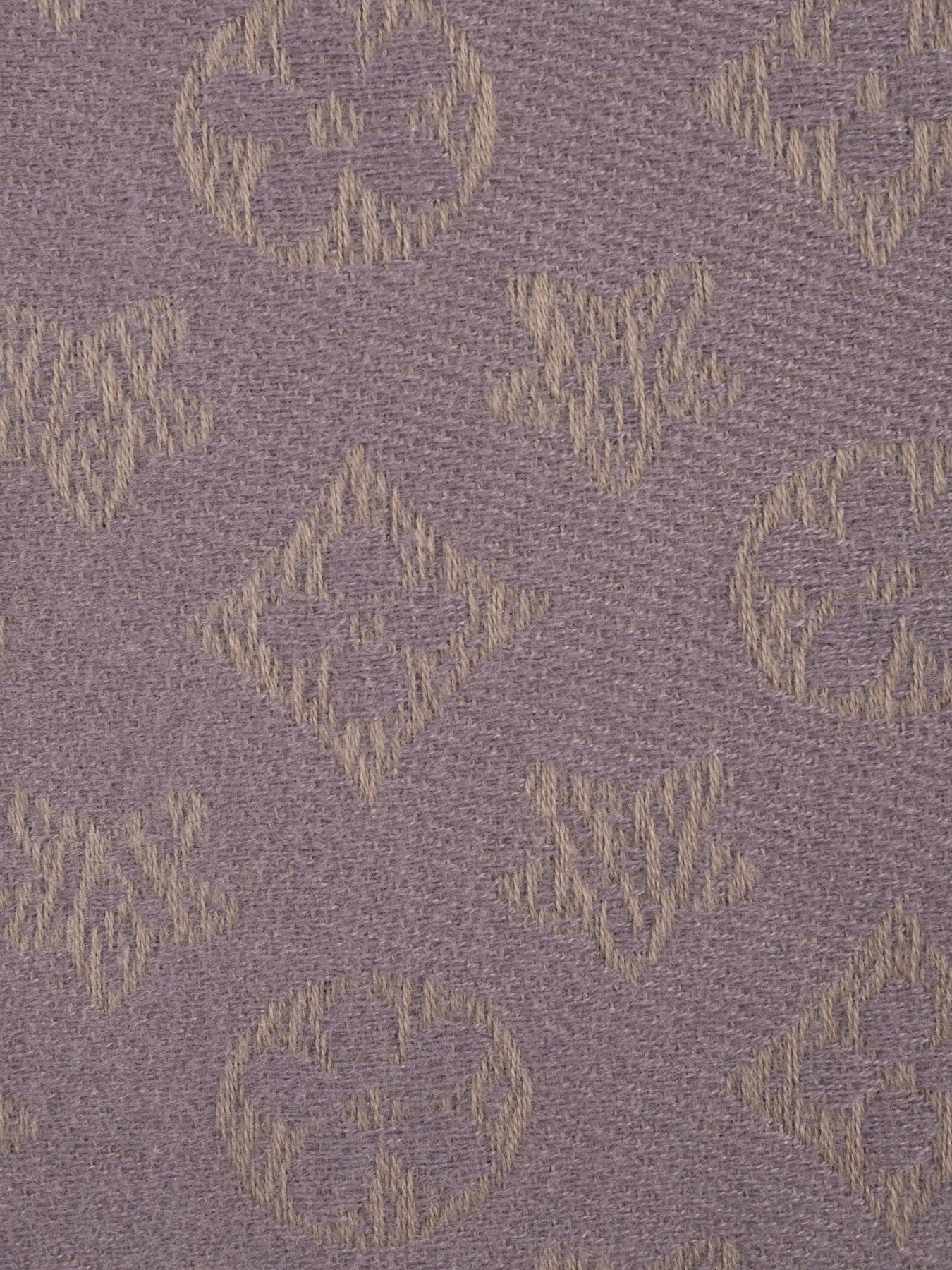 Шарф Regina Notte модель 4000000064709 Фото