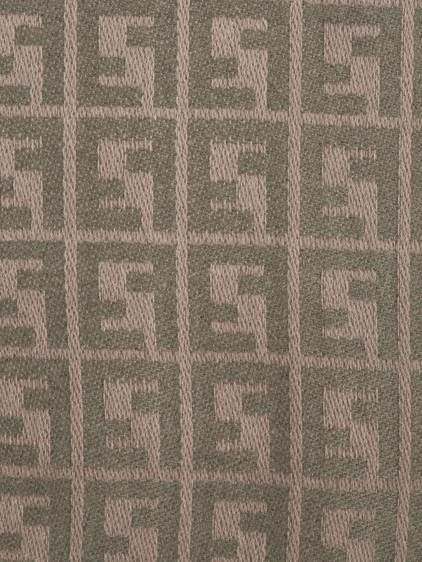 Шарф Regina Notte модель 4000000146111 Фото