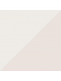 Набор носков PUMA Women Sneaker 2P модель 907955 Фото