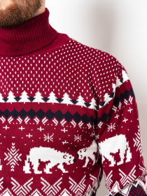 Водолазка ISSA Plus модель GN4-51_burgundy Фото