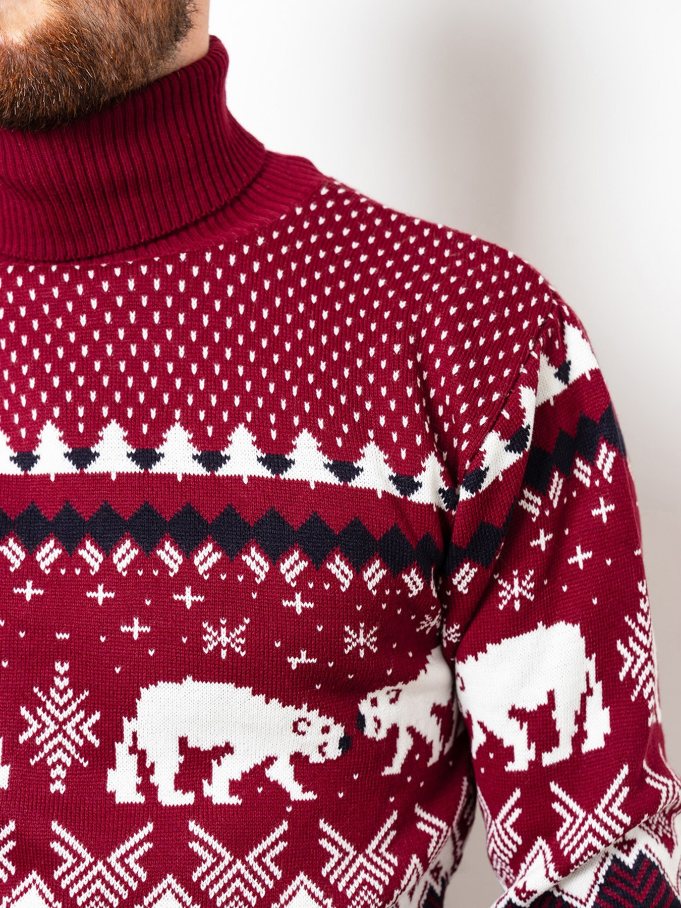 Водолазка ISSA Plus модель GN4-51_burgundy Фото