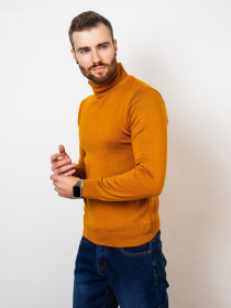 Водолазка ISSA Plus модель GN4-57_mustard Фото