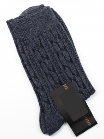 Носки и гольфы ISSA Plus модель GNS-143_blue Фото