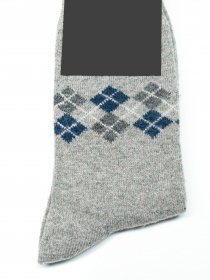 Носки и гольфы ISSA Plus модель GNS-147_grey Фото