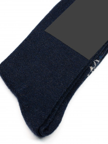 Шкарпетки та гольфи ISSA Plus модель GNS-147_blue Фото