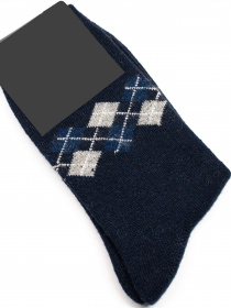 Шкарпетки та гольфи ISSA Plus модель GNS-147_blue Фото