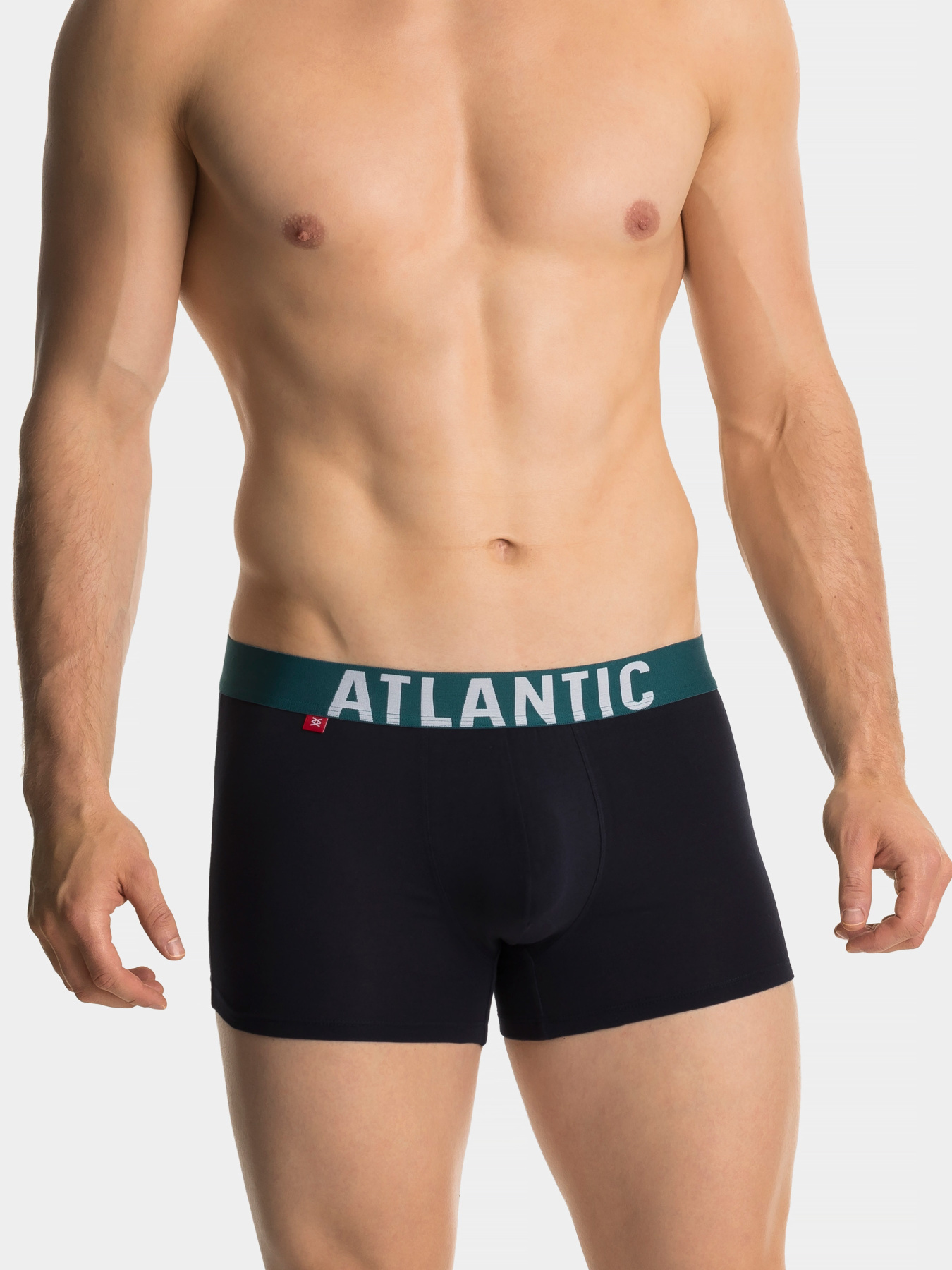 Набір трусів Atlantic модель 3SMH-003_GRA_S Фото