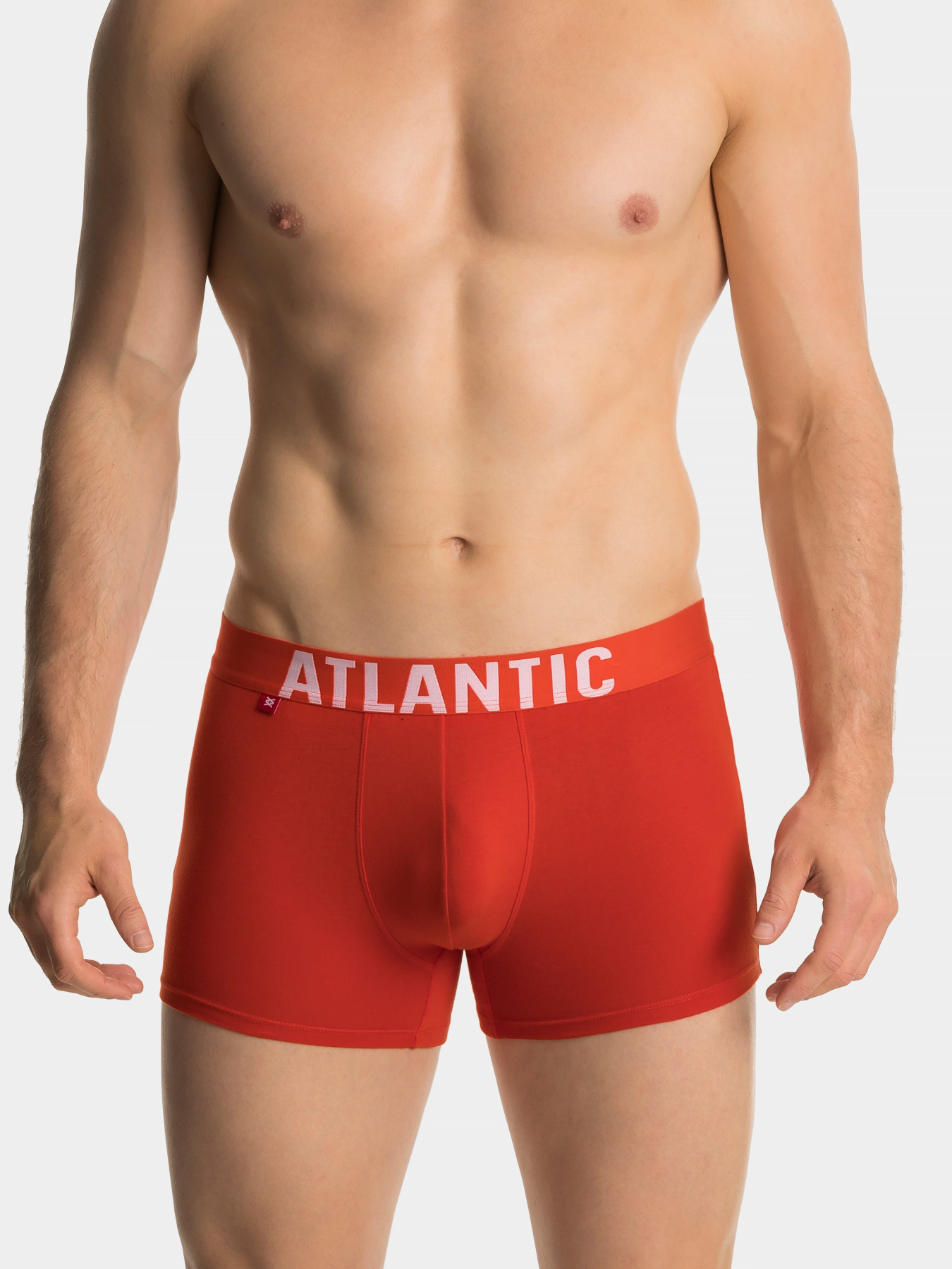 Набір трусів Atlantic модель 3SMH-003_POM_CZA_GRF Фото