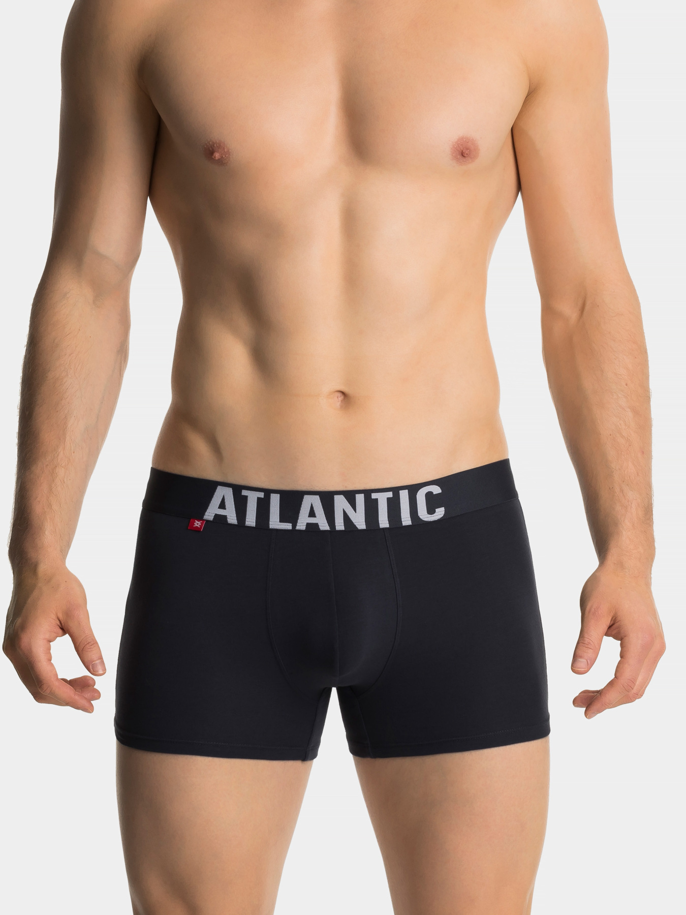 Набір трусів Atlantic модель 3SMH-003_POM_CZA_GRF Фото