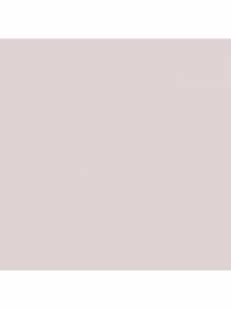 Набор носков PUMA Heritage Sneaker 2p Uns модель 907945 Фото