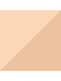 Набір шкарпеток PUMA Women Cat Logo Sock 2P модель 935765 Фото