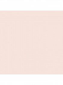 Набор носков PUMA Women Cat Logo Sock 2P модель 935765 Фото