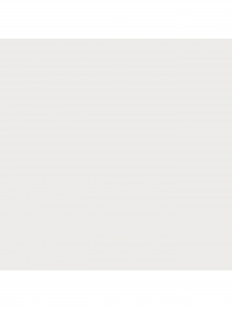 Набір шкарпеток PUMA Sport Light Quarter 2p модель 935477 Фото